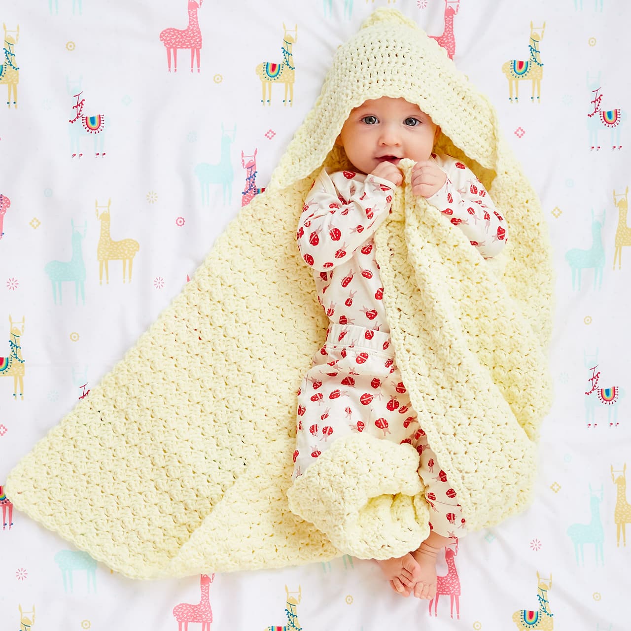 Lion Brand® Feels Like Butta® Bonus Bundle® Broomfield Crochet Hooded Baby Blanket